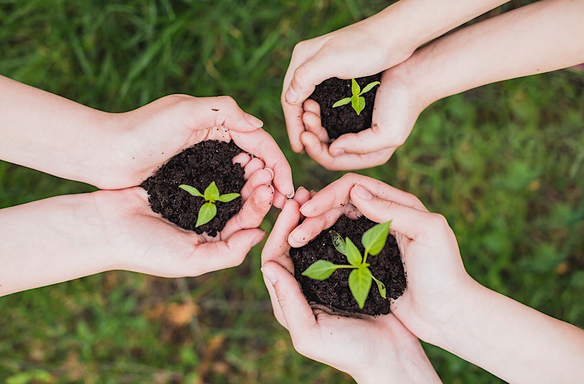 I social per cambiare il mondo : Fridays For Future